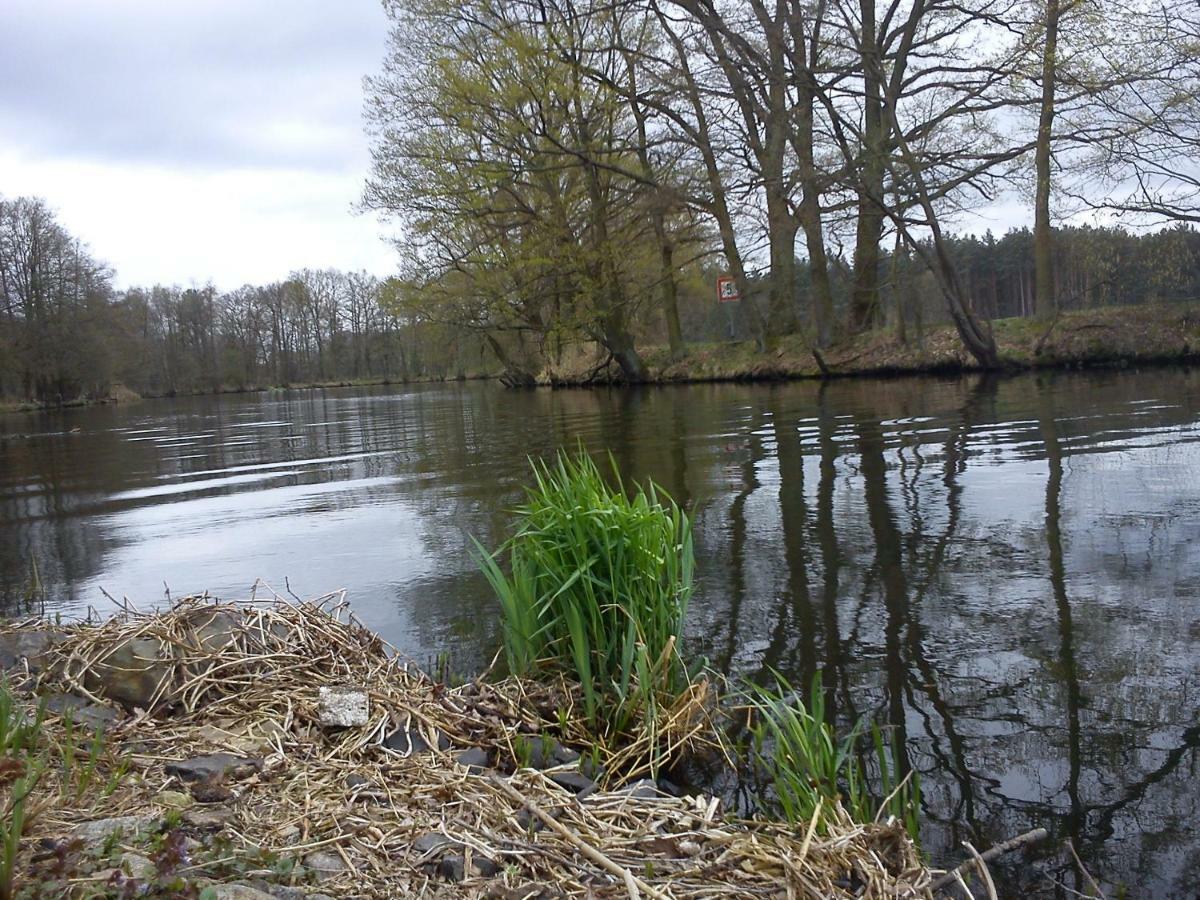 Ferienwohnungen 3 Birken Briesen  Buitenkant foto